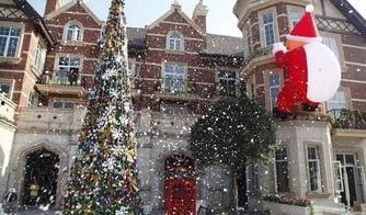 圣诞美如画,梦幻节日盛宴