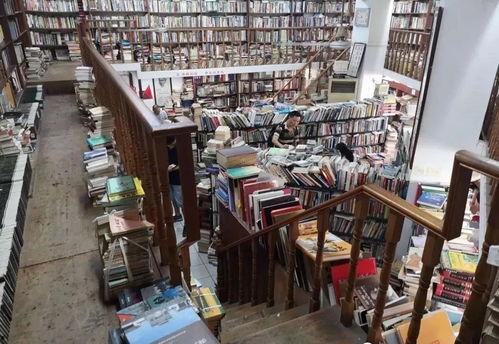 书店与菜市场,书店与菜市场的和谐交响